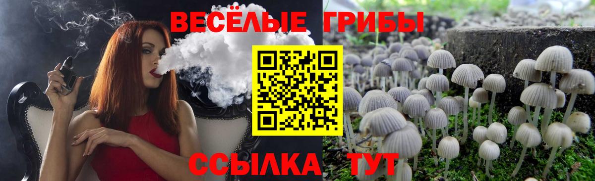 Псилоцибиновые грибы мухоморы  Вход с VPN  Псилоцибиновые грибы мицелий  Бирск 